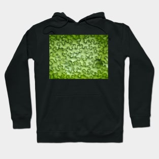 Leaf cells under the microscope Hoodie